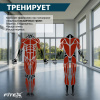 Premier-7 PROF Гребной тренажер
