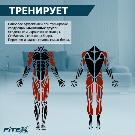 PROF-M Скоростной велотренажер "Premier PROF-M"