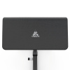 Скамья Скотта DFC Homegym UB009G серый